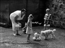 Fälschung / *****