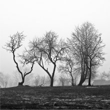 Morgen / ...