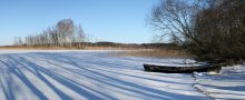 Strusto Winter / ***