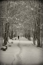 schwarz und weiß Winter / ***