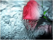 ... In der Dusche ...))) / -----