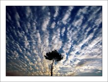 Unter dem Himmel / ***
