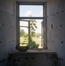 ... im Sommer / 6x6