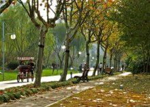 Shanghai Herbst Atem / ***