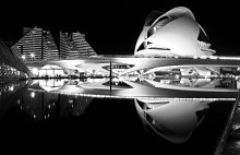 El Palau de les Arts Reina Sofía / Ciudad de las Artes y las Ciencias, Valencia.
http://www.flickr.com/photos/alena_romanenko/3096480174/