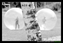 Dialog / ----