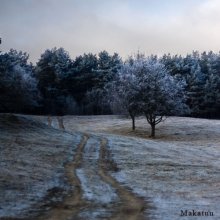 Frost überall / ***