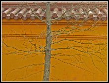 Buddhistische Herbst / ***