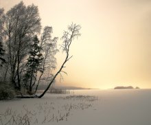 Mittag / ***