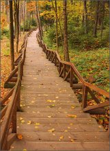 Im Herbst / ***