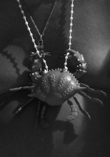 Talisman / ***