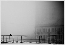 Varona ¢ Nebel / ***
