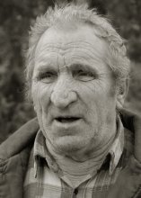 Mein Großvater Tanne / -----