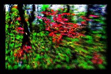 Sonnenwind / ***