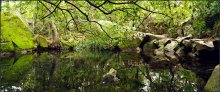 Teich / ***