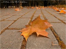 Herbst, die Toten regen / ***