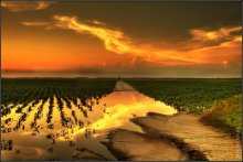 Der Weg zum Sonnenuntergang / -----