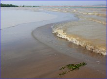 River Surf / ***