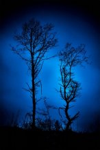 Evening Double / ***
