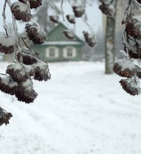 Winter / *****