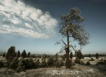 One und Sky ... / ........