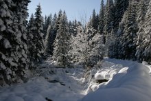 den Zauber des Winters / ***