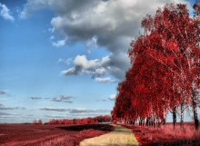Andere Farben der Natur! / ***