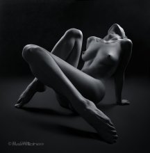 Mondschein / ***