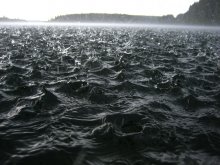 Frische / ***