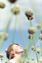 Reach For The Sun / ***