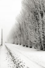 Pfad ins Unbekannte / ***