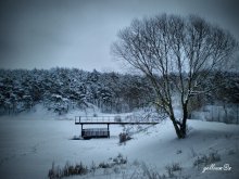 Winter peyzazhets / ***