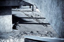 untitled / ***