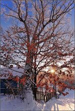 Sonniger Morgen / ***