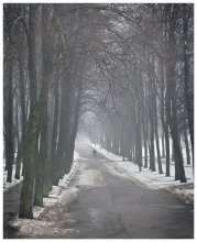 * Capel ... vielleicht ... / ***