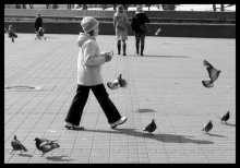 nicht fliegen! / ***