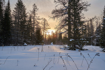 Winterdämmerung / ***