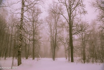 Winternebel / ...