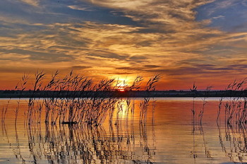 Warm Sunset / ***