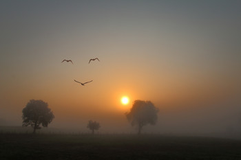 flying smile / Landschaft