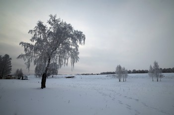 Bis zum Frühjahr / ***