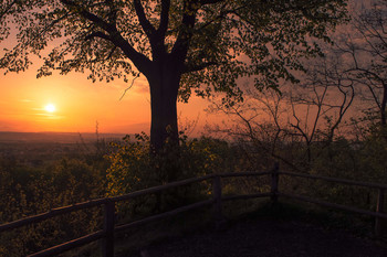 Blick auf das Siebengebirge / Ausblick von der Tomburg bei Rheinbach auf das Siebengebirge im Morgenlicht
