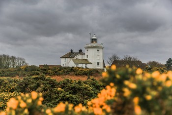 Cromer lighthouse / ***