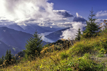 Blick auf den Thunersee / Schynige Platte, Berner Oberland