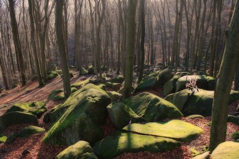 Natur / Natur