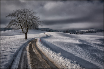 Sanfte Kurven / Kirschbaum am Weg