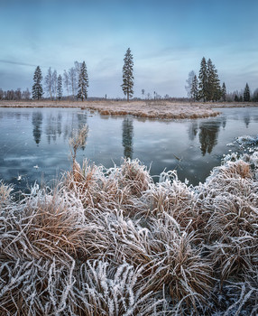 Rime / ***