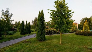 Walk in the Park / ***