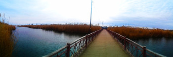 PUENTE QUE ATRAVIESA UN RÍO ESTRECHO / ***