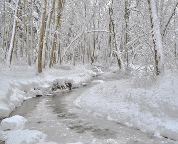Nach Schneefall / ***